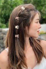 Kadın Mandal Toka Mini Tırmık Toka Seti