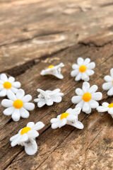 8 Adet Papatya Pens Toka Seti