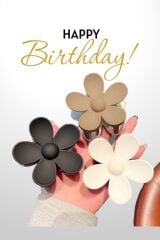 Kadın 3'lü Kahve Tırmık Mandal Toka Seti