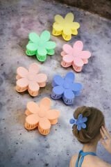 Kadın 6'lı Renkli Papatya Mandal Toka Seti